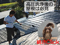 お家のワンちゃんとフッソ塗料で屋根を塗る職人